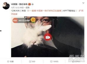 河南出轨爆料事件最新,真相与争议交织的婚姻漩涡